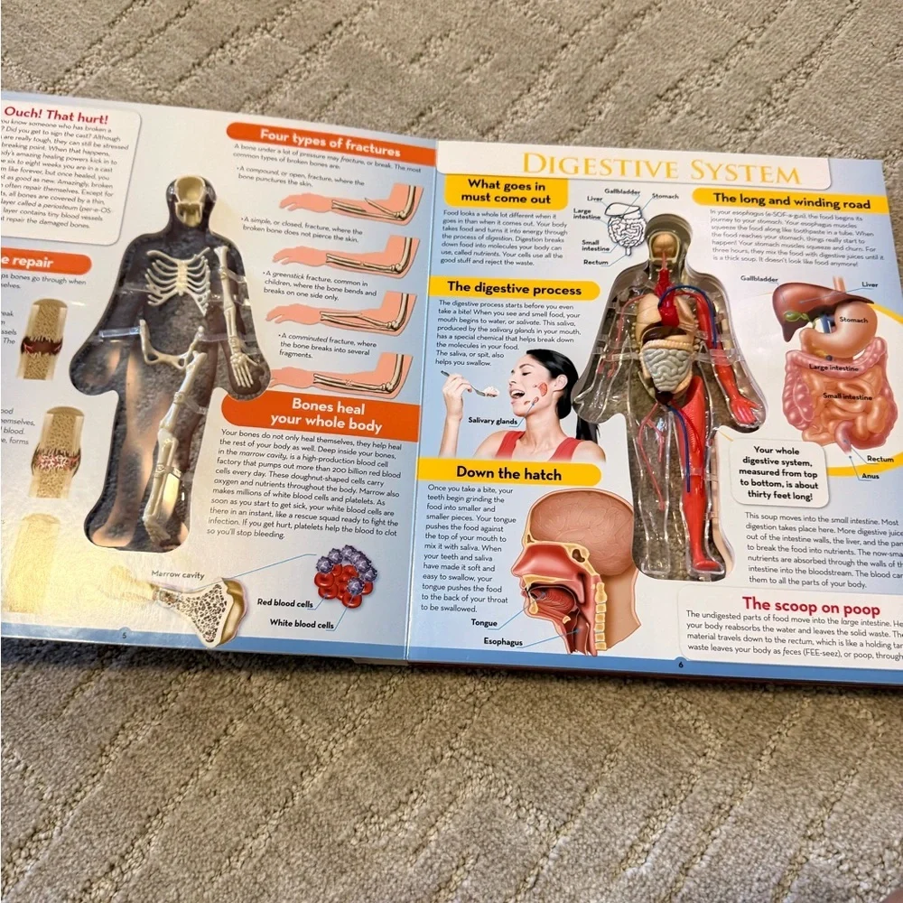 Uncover the‎ Human Body Book